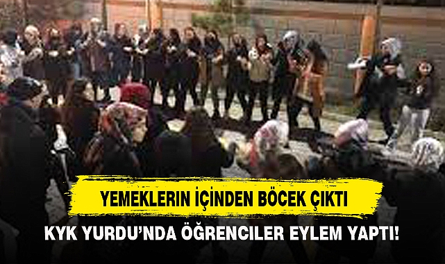 YEMEKLERIN İÇİNDEN BÖCEK ÇIKTI