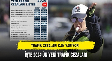 Yeni Yılda Trafik Cezaları Can Yakıyor. İşte Zamlı Cezalar
