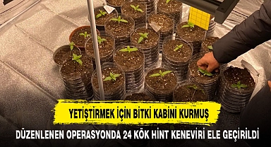 YETİŞTİRMEK İÇİN BİTKİ KABİNİ KURMUŞ