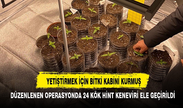 YETİŞTİRMEK İÇİN BİTKİ KABİNİ KURMUŞ