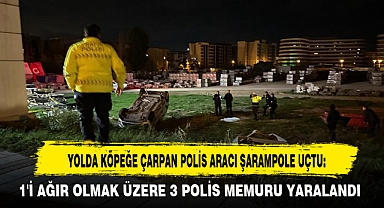 YOLDA KÖPEĞE ÇARPAN POLİS ARACI ŞARAMPOLE UÇTU: