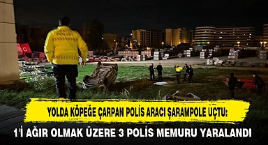 YOLDA KÖPEĞE ÇARPAN POLİS ARACI ŞARAMPOLE UÇTU: