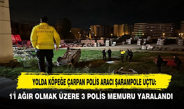 YOLDA KÖPEĞE ÇARPAN POLİS ARACI ŞARAMPOLE UÇTU: