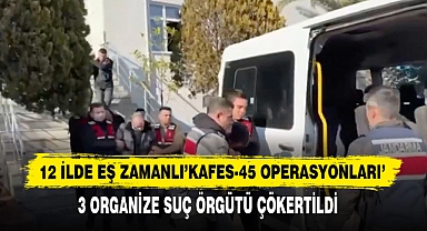 12 İlde Eş Zamanlı'KAFES-45 Operasyonları'