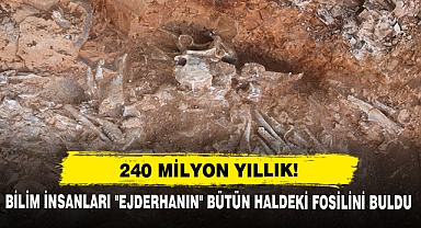 240 Milyon Yıllık!