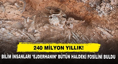 240 Milyon Yıllık!