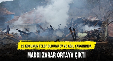 29 KOYUN TELEF OLMUŞTU, MADDİ ZARAR ORTAYA ÇIKTI