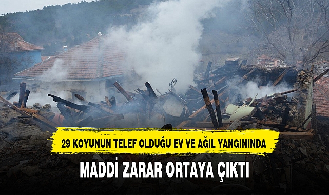 29 KOYUN TELEF OLMUŞTU, MADDİ ZARAR ORTAYA ÇIKTI