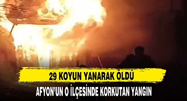 AFYON'UN O İLÇESİNDE YANGIN 29 KOYUN TELEF OLDU