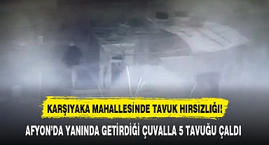 AFYON'DA ÇUVALLA TAVUK ÇALDILAR!
