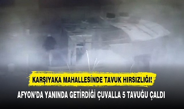 AFYON'DA ÇUVALLA TAVUK ÇALDILAR!