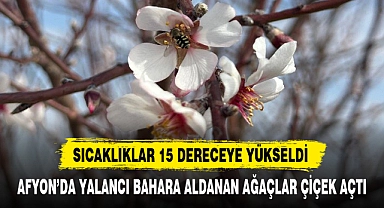 AFYON'DA YALANCI BAHARA ALDANAN AĞAÇLAR ÇİÇEK AÇTI