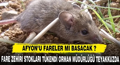 AFYON'U FARELER Mİ BASACAK ? STOKLAR TÜKENDİ !!!