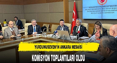 AK Partili Yurdunuseven'in Ankara Mesaisi Komisyon Toplantıları