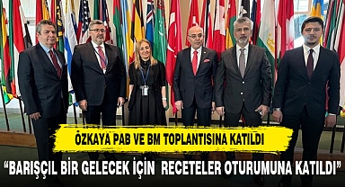 Ali Özkaya, PAB ve BM İşbirliğiyle Barış İçin Önemli Bir Parlementer Oturumda Bulundu