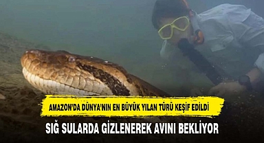 Amazon'da dünyanın en büyük yılan türü keşfedildi