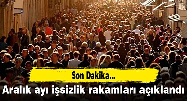Aralık ayı işsizlik rakamları açıklandı