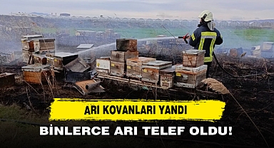 Arı Kovanları Yandı Binlerce Arı Telef Oldu!
