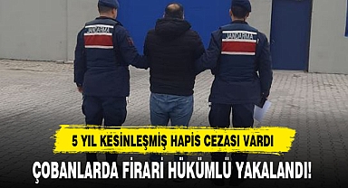 ÇOBANLARDA FİRARİ HÜKÜMLÜ YAKALANDI!
