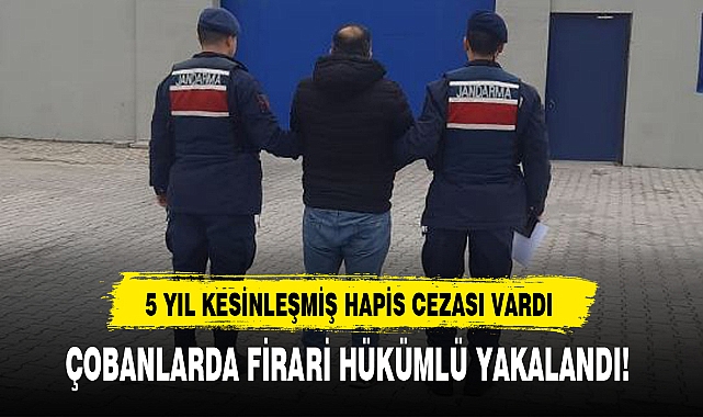 ÇOBANLARDA FİRARİ HÜKÜMLÜ YAKALANDI!