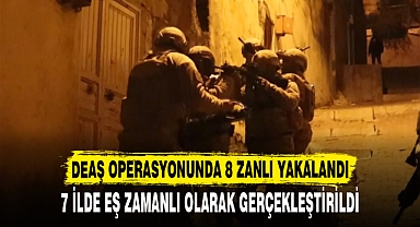 DEAŞ operasyonunda 8 zanlı yakalandı