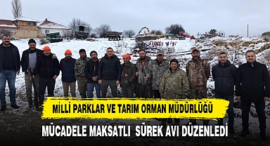 Dinar'da Yaban Domuzlarına Karşı Tarımsal Mücadele Sürek Avlarıyla Sürüyor