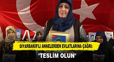 Diyarbakır’lı Annelerden Evlatlarına Çağrı: