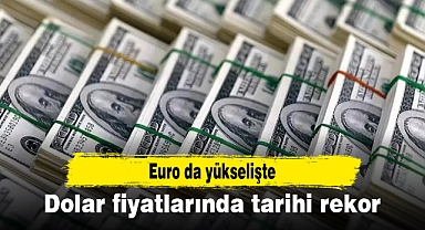 Dolar fiyatlarında tarihi rekor