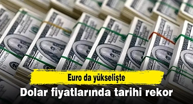 Dolar fiyatlarında tarihi rekor