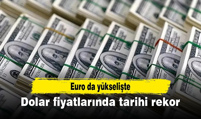 Dolar fiyatlarında tarihi rekor