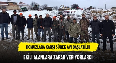 DOMUZLARA KARŞI SÜREK AVI BAŞLATILDI