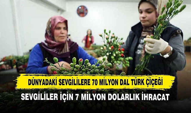 Dünyadaki Sevgililere 70 Milyon Dal Türk Çiçeği