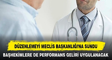 DÜZENLEMEYİ MECLİS BAŞKANLIĞI'NA SUNDU