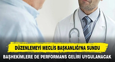 DÜZENLEMEYİ MECLİS BAŞKANLIĞI'NA SUNDU