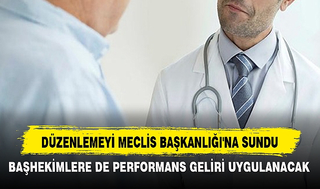DÜZENLEMEYİ MECLİS BAŞKANLIĞI'NA SUNDU