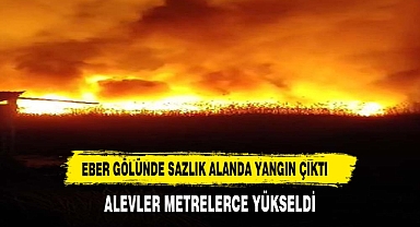 Eber Gölü'nde sazlık alanda yangın çıktı, alevler metrelerce yükseldi