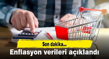 Enflasyon verileri açıklandı