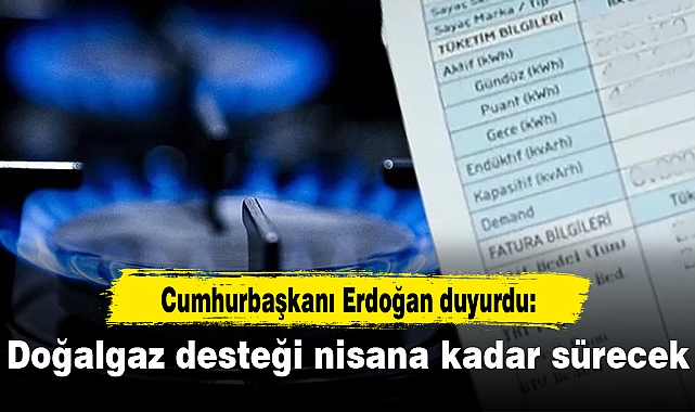 Erdoğan duyurdu: Doğalgaz desteği nisana kadar sürecek