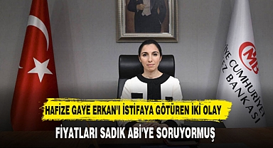 Hafize Gaye Erkan'ı istifaya sürükleyen iki olay!