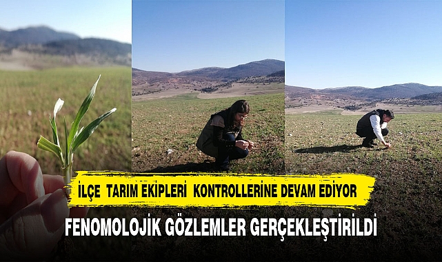 Hocalar İlçe Tarım ve Orman Müdürlüğü ekipleri ilçede arazi kontrollerine devam ediyor.