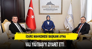 İdare Mahkemesi Başkanı Ayna Vali Yiğitbaşı'yı Ziyaret Etti