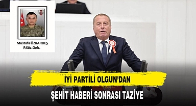 İYİ Partili Olgun'dan Şehit Haberi Sonrası Taziye