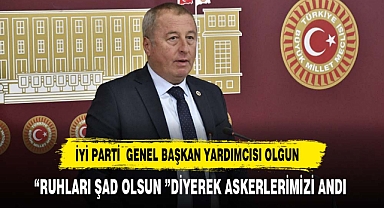 İYİ PARTİLİ OLGUN ŞEHİTLERİ UNUTMADI