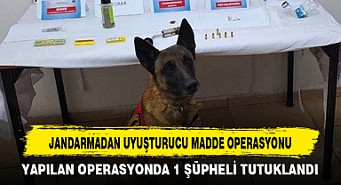 JANDARMADAN UYUŞTURUCU MADDE OPERASYONU