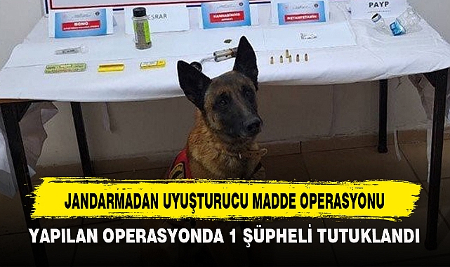 JANDARMADAN UYUŞTURUCU MADDE OPERASYONU