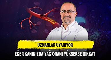 Kanınızda Yağ Oranı Yüksekse Dikkat