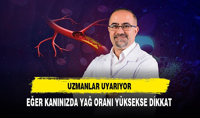 Kanınızda Yağ Oranı Yüksekse Dikkat