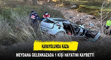 KARAYOLUNDA KAZA: