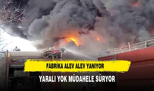 Kocaeli'de kimya fabrikasında yangın! İçeriden patlama sesleri geliyor, çok sayıda ekip olay yerinde