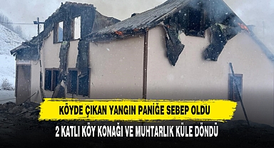 Köyde Çıkan Yangın Paniğe Sebep Oldu